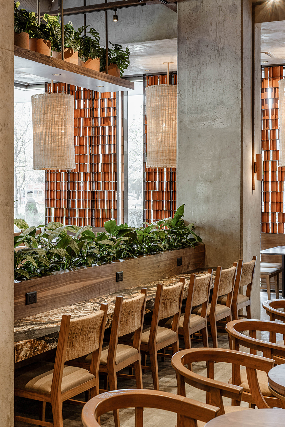 墨西哥 Kali 咖啡馆丨Concéntrico-49