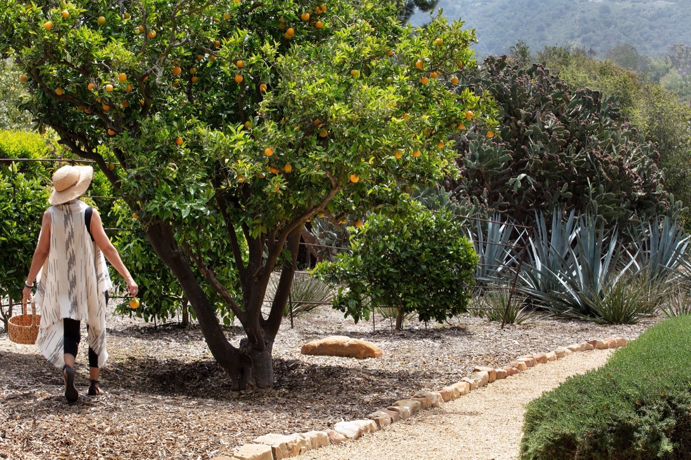 加州 Montecito 的 Mariposa Gardens丨RIOS-17