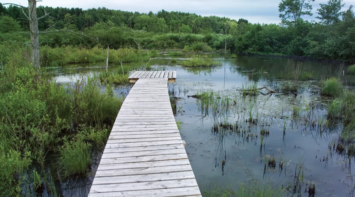 半英里生态景观人行道丨景观设计师-5