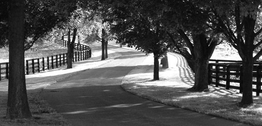 越南设计师 Hoi Kiuen Truscsu 打造室内设计新潮流-16