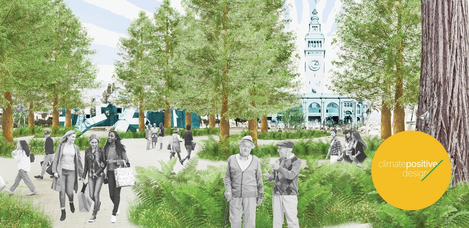 气候积极设计 | 景观项目的碳影响改善策略-14