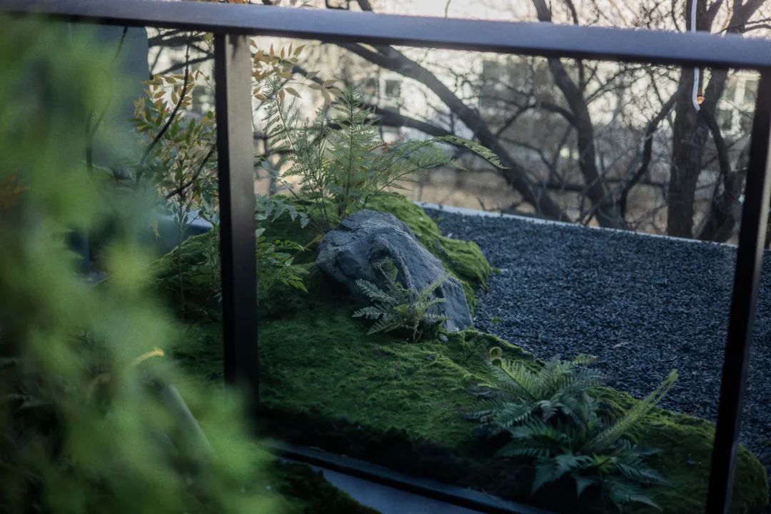 金茂·璞逸丰宜·屋顶露台植物景观·北京丨中国北京丨麦田景观-20