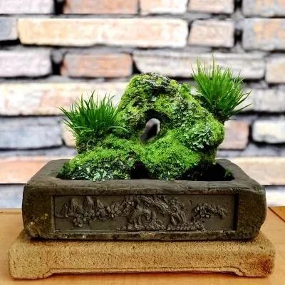 水中翠绿的诗意 | 菖蒲在园林设计中的应用-15