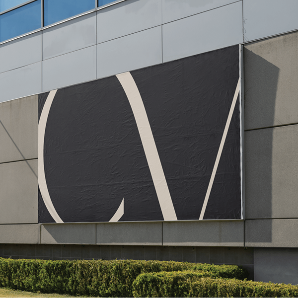 CV 金融咨询公司品牌标识设计-11