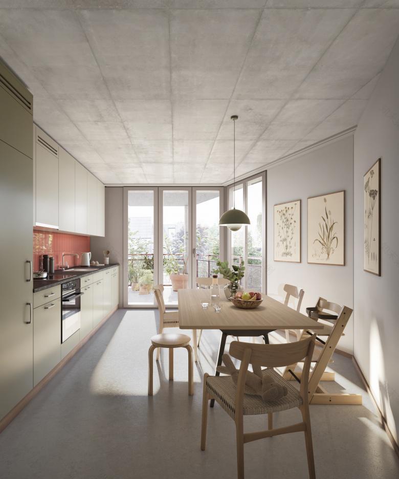 安东·希吉大街替代新建筑丨瑞士苏黎世-2