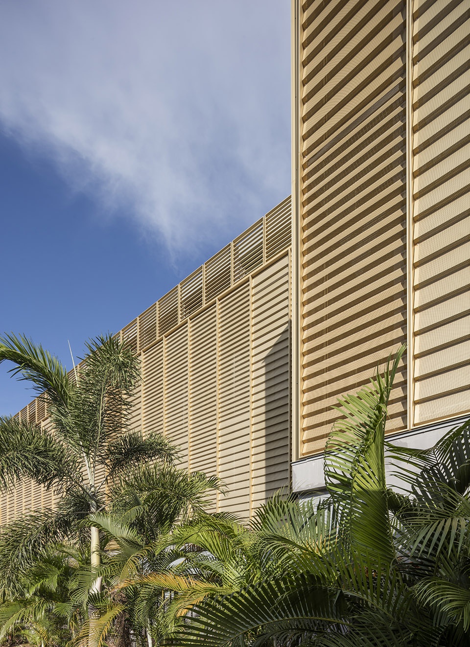 PointeàPitre 法院丨印度丨Ignacio Prego Architectures-16