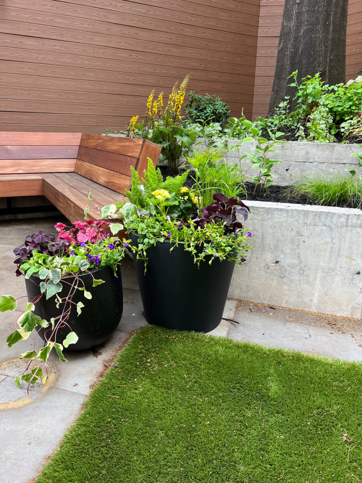 Williamsburg新公寓荫蔽花园丨美国纽约-18