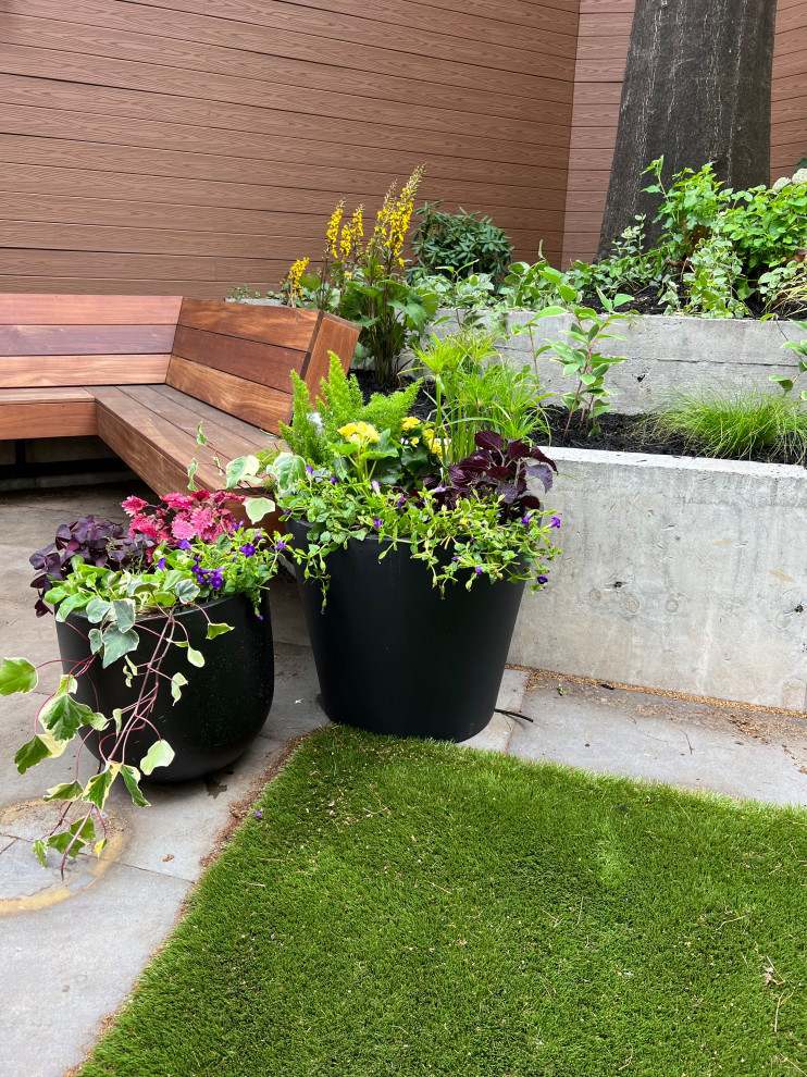 Williamsburg新公寓荫蔽花园丨美国纽约-18