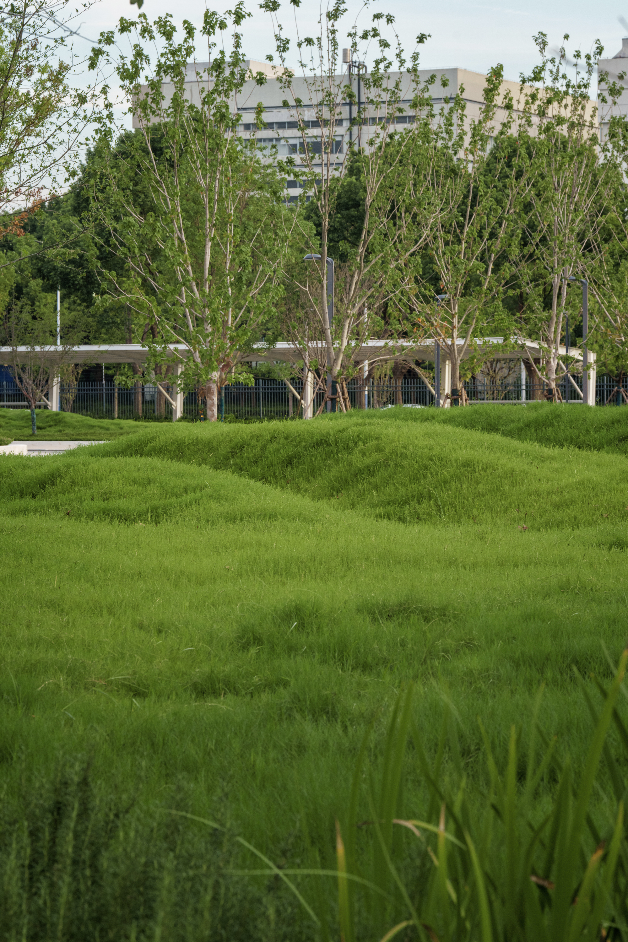 常州合全药业研发园区景观设计丨中国常州丨易栖建筑,E7 ARCHITECTS-31