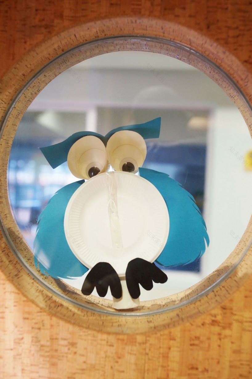 幼教叮叮学府总部 SHARK-SHARK-18