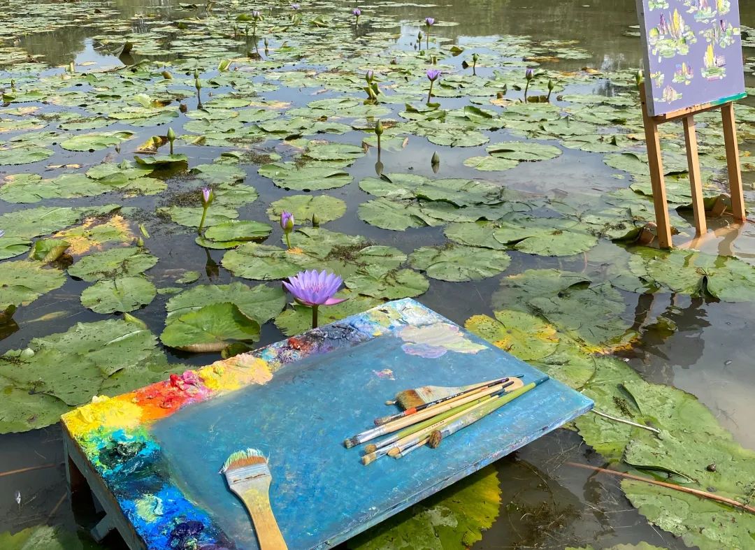 《莲颂》数字影像专题片丨中国杭州丨杭州国美建筑设计研究院有限公司-23