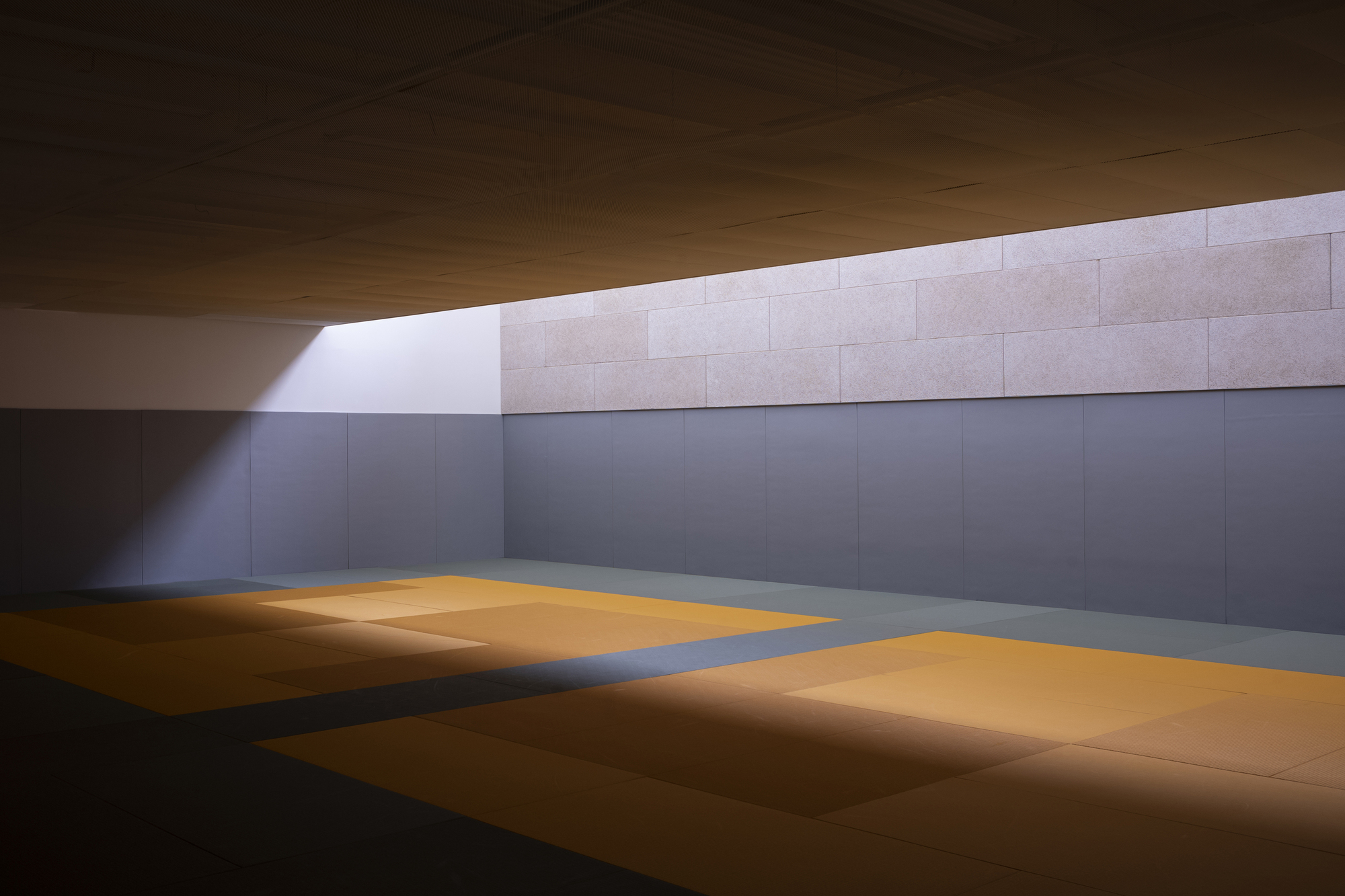 Charcot 体育中心丨法国巴黎丨ODILE+GUZY architectes-23