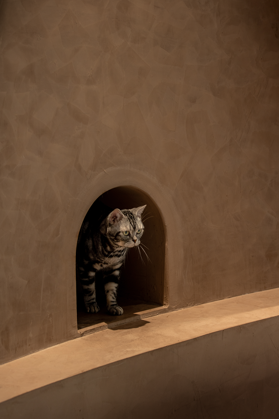 猫植说创意餐厅丨TTD 设计-32