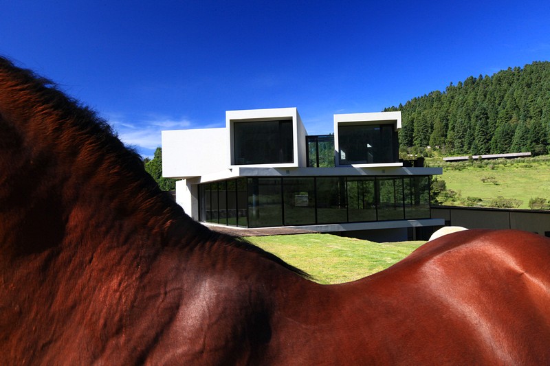 墨西哥兰乔德尔阿尔波私人住宅-9