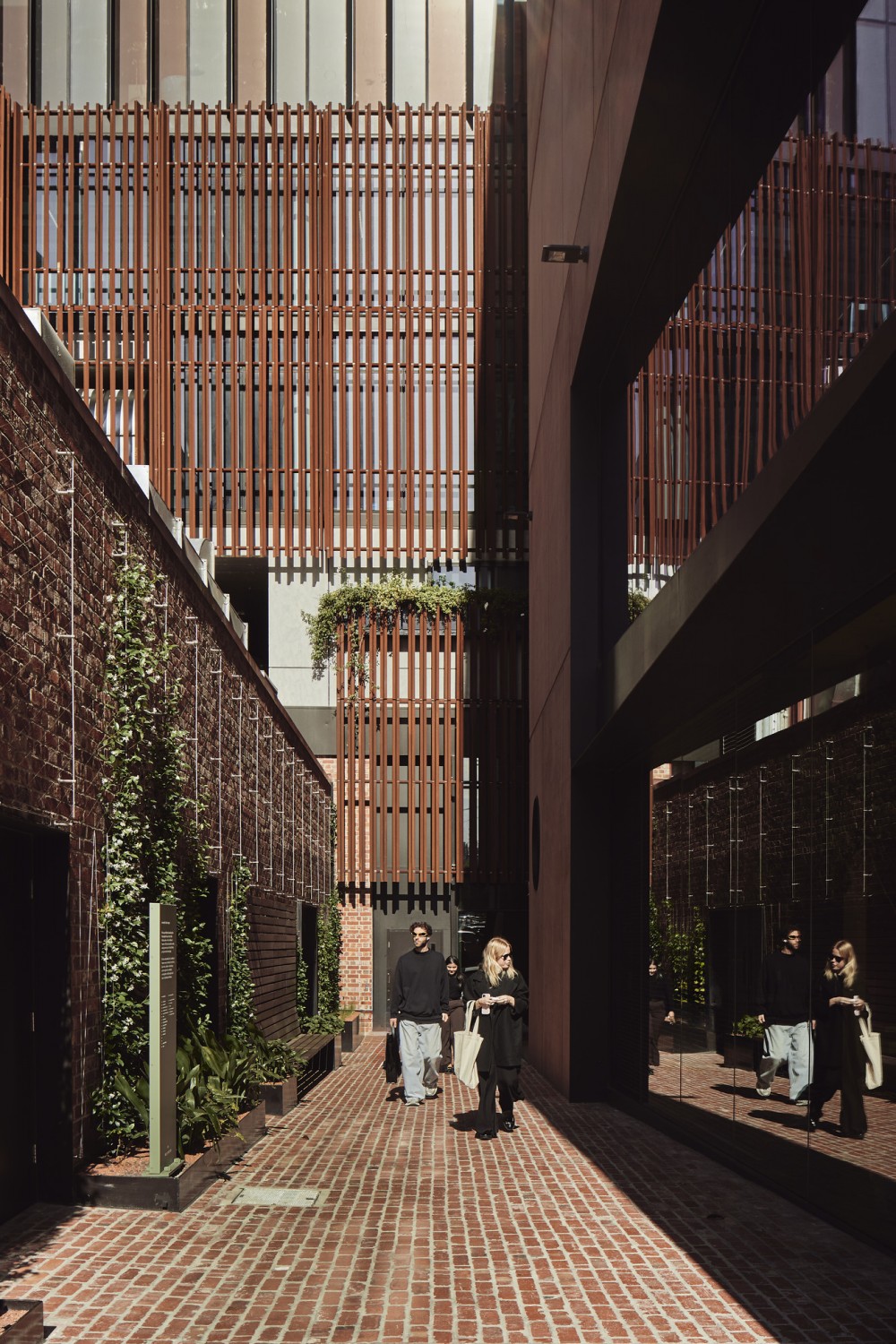 54 Wellington | Wardle-1