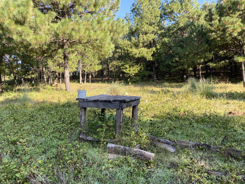 丨墨西哥丨未明确提及-46