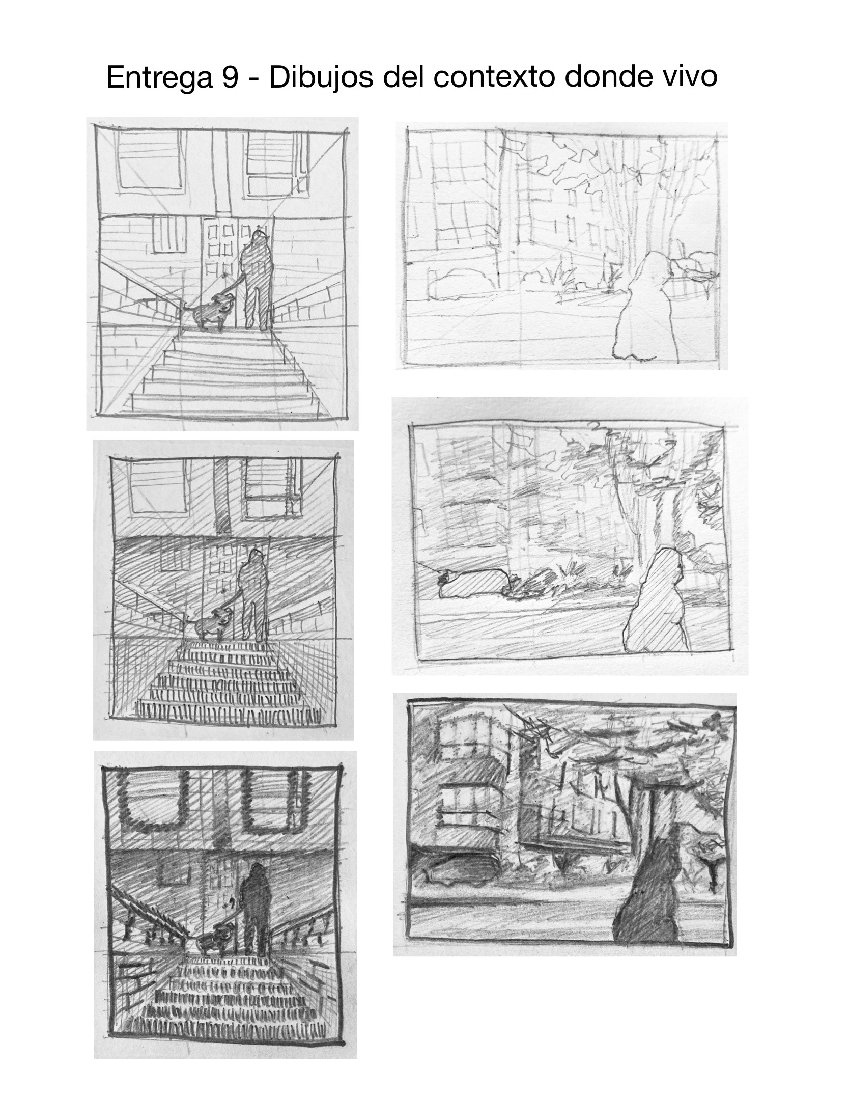 观察绘图丨Jose Rengifo-13