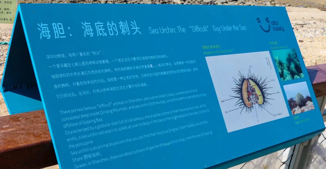 深圳东部海堤重建工程（三期）丨中国深圳丨深圳翰博设计股份有限公司（景观）,中交水运规划设计院有限公司（水工）-23