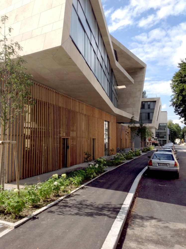 奥地利萨尔斯堡珍宝住宅区——自然与建筑的和谐对话-16