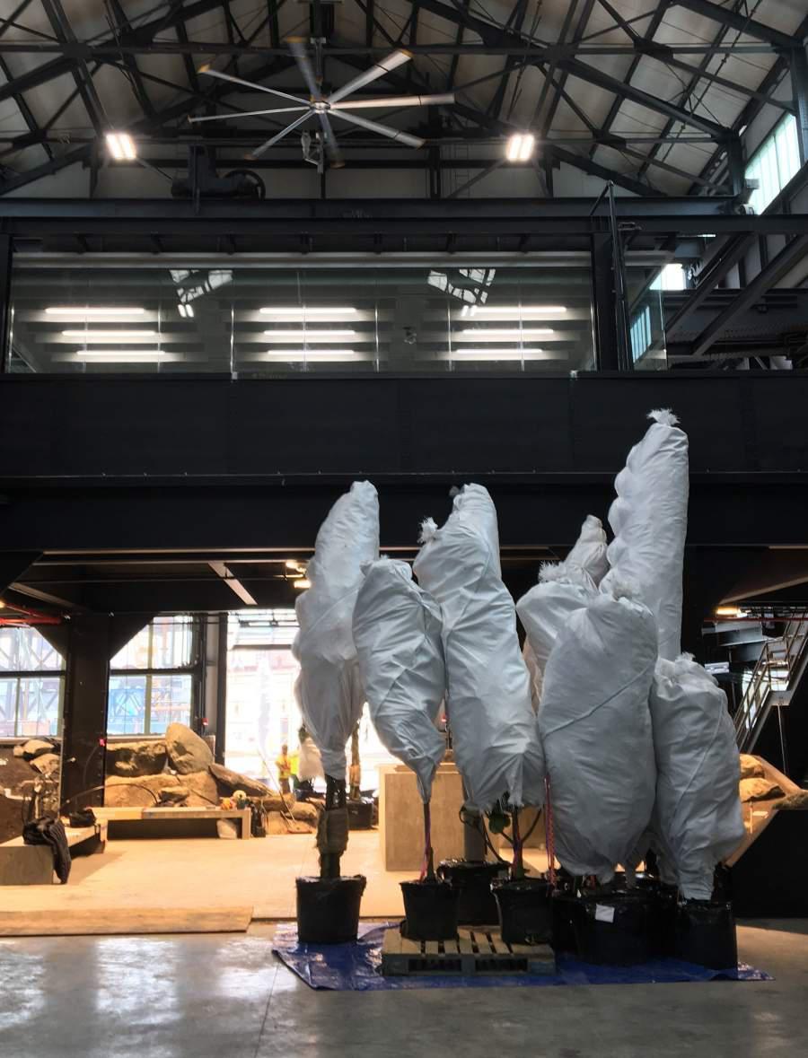 “最硬核”的办公空间改造，废弃海军造船厂中长出了一座封闭森林！-69