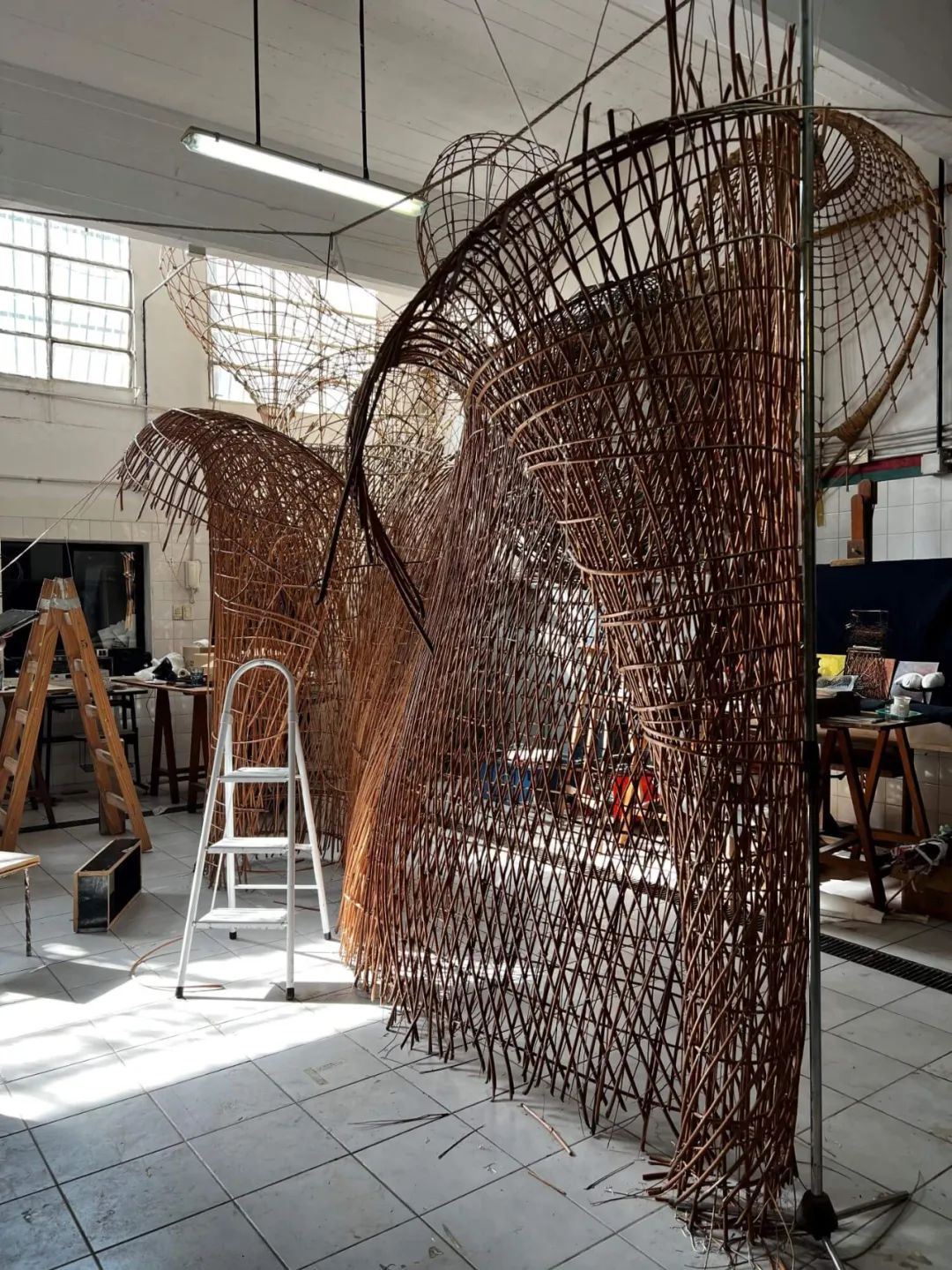 Blue Sheep 阿根廷女装店丨阿根廷布宜诺斯艾利斯丨Vang Studios-19