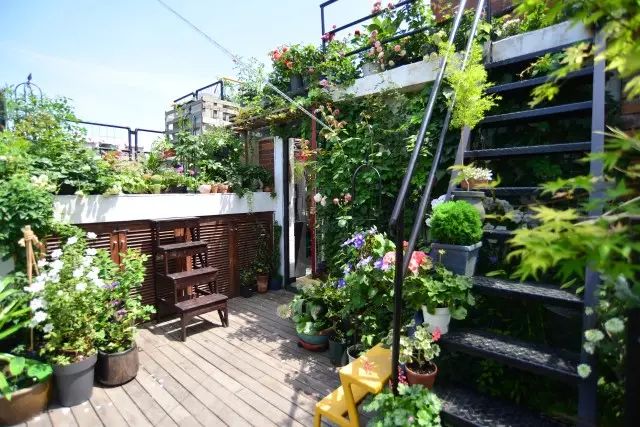 她在楼顶悄悄建了一座梦想花园，美翻了！这才是把日子过成诗的样子-66