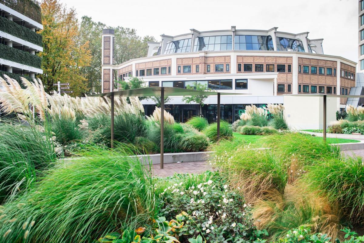 丨荷兰鹿特丹-1