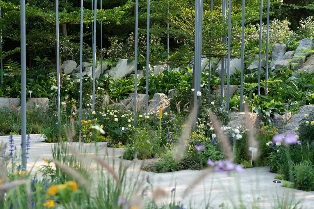 天壤云影丨中国深圳丨MC William studio+至岸景观-30