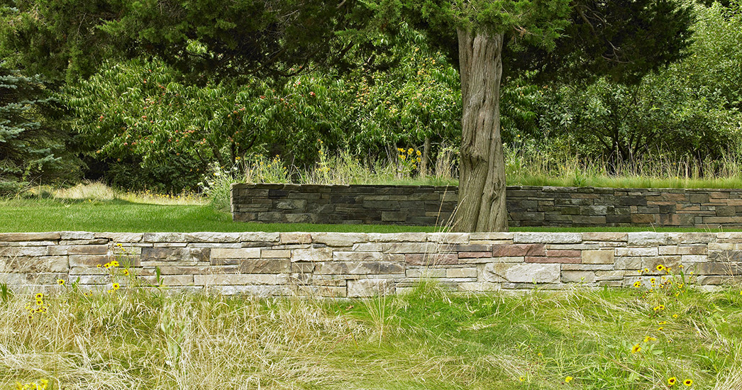 长草地住宅设计-4