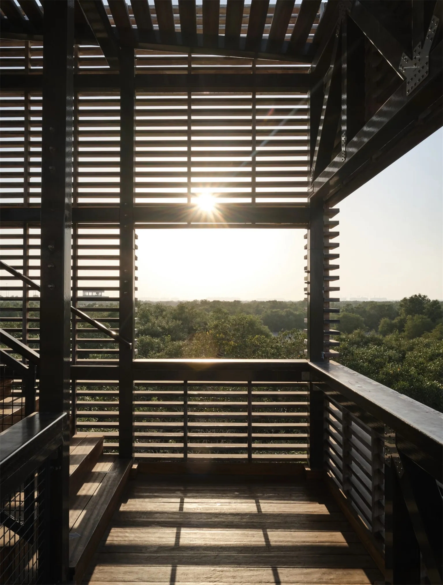 阿联酋红树林公园丨CEBRA Architecture-13