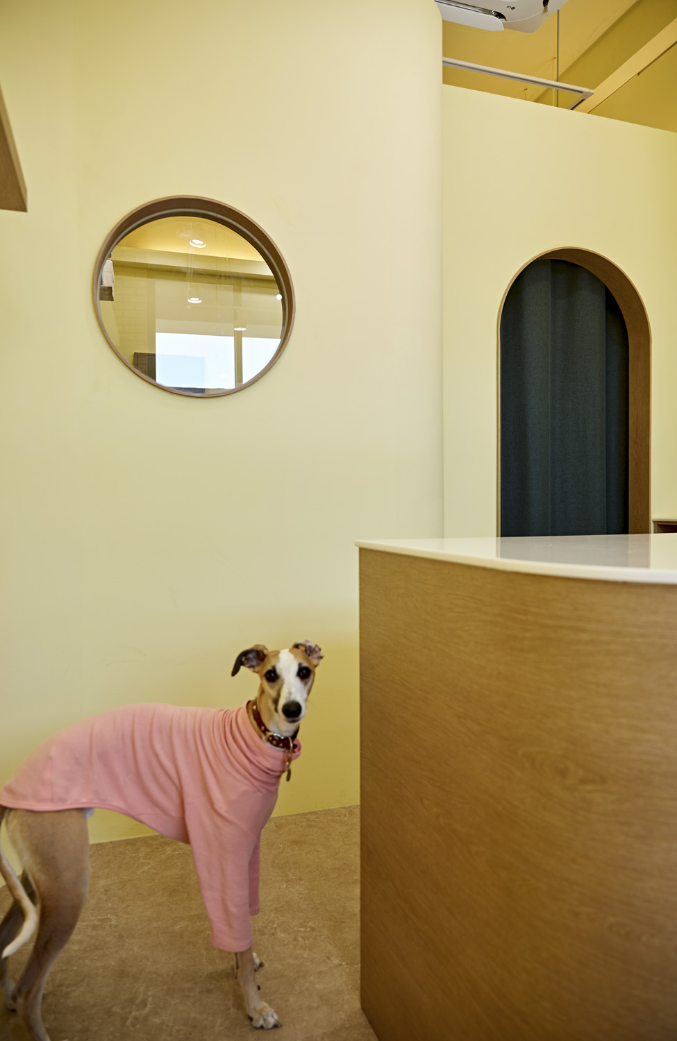 韩国清新手工零食店，9 坪精致设计-13