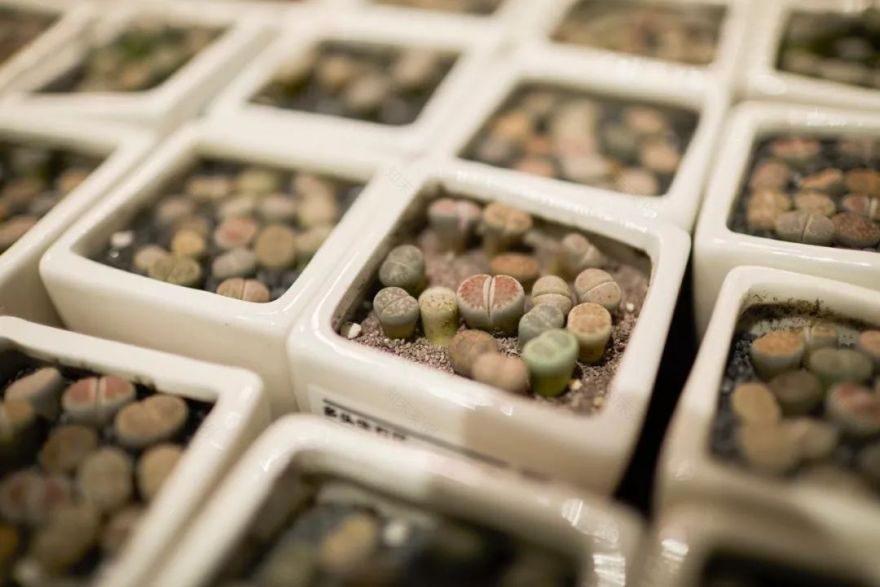 鹿岛生活 | 感官之旅的空间设计-61