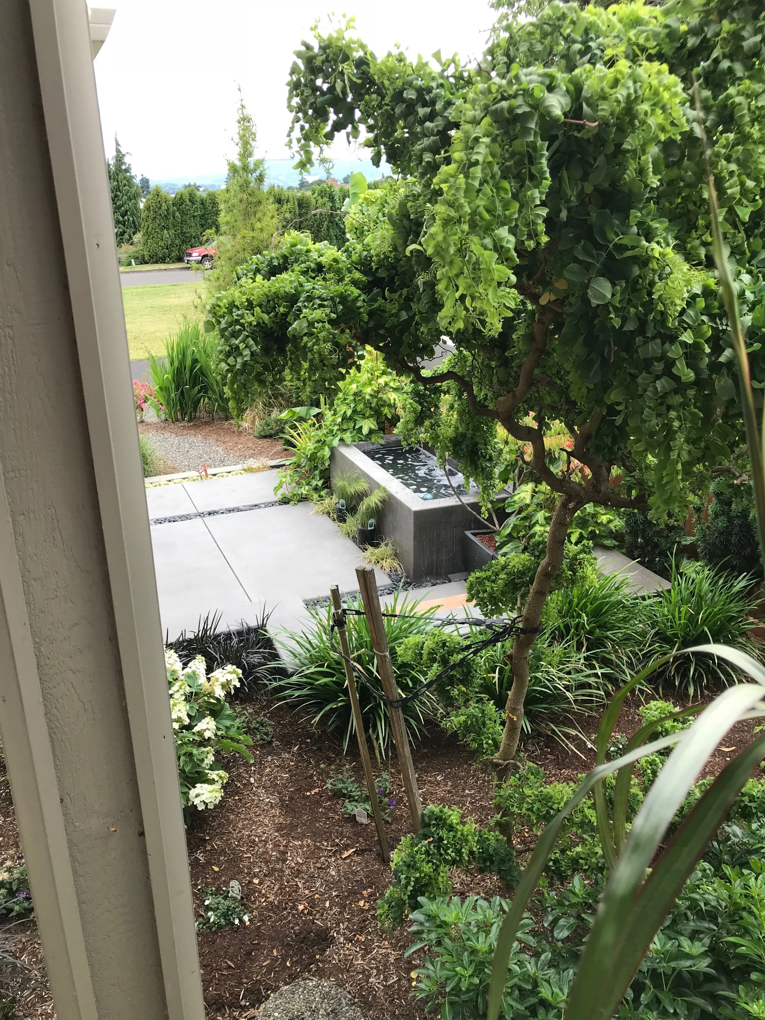 哥伦比亚城某住宅前院景观重新设计丨Alyse Lansing-3