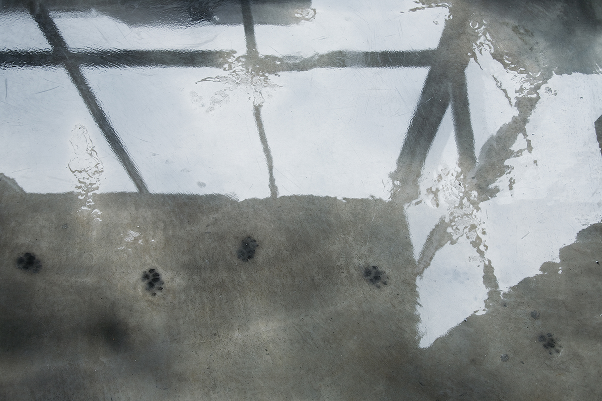 丨日本东京丨Jo Nagasaka,Schemata Architects-6