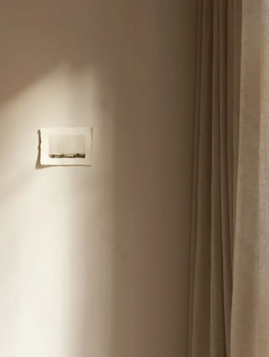 东区柔和光影别墅丨澳大利亚丨Williams Burton Leopardi-52