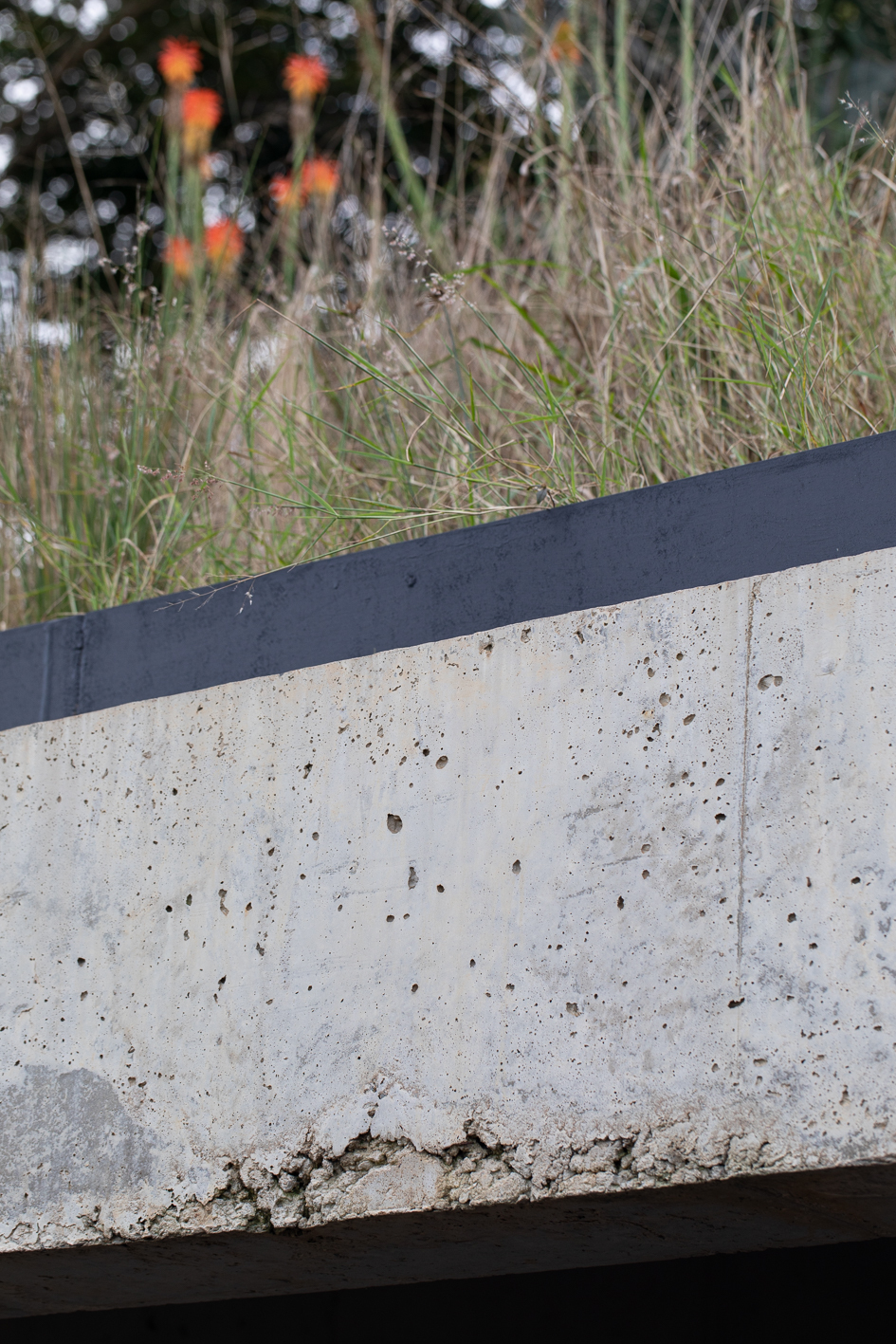 丨南非丨Common Architecture-39