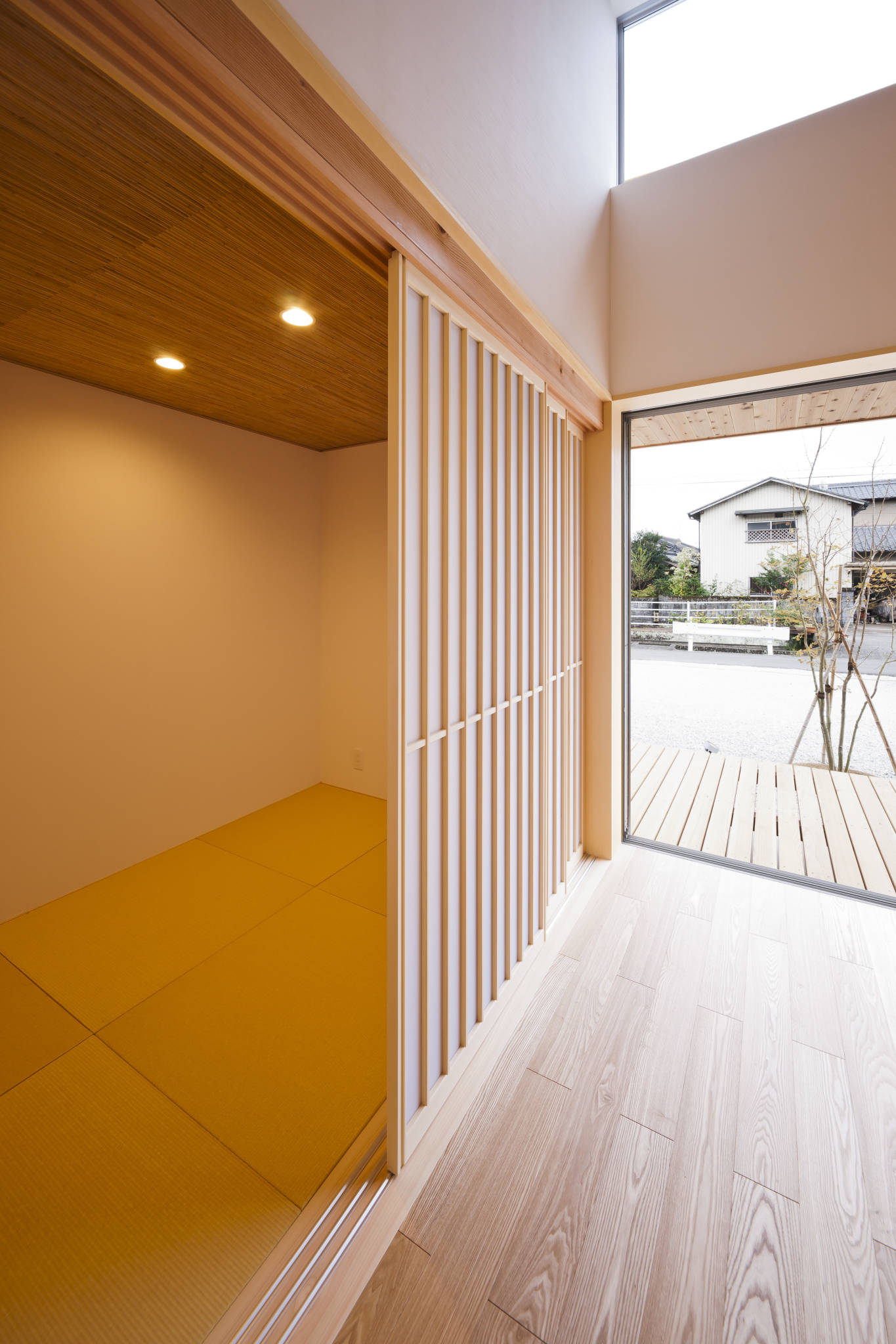 Totoro（托托罗）-7