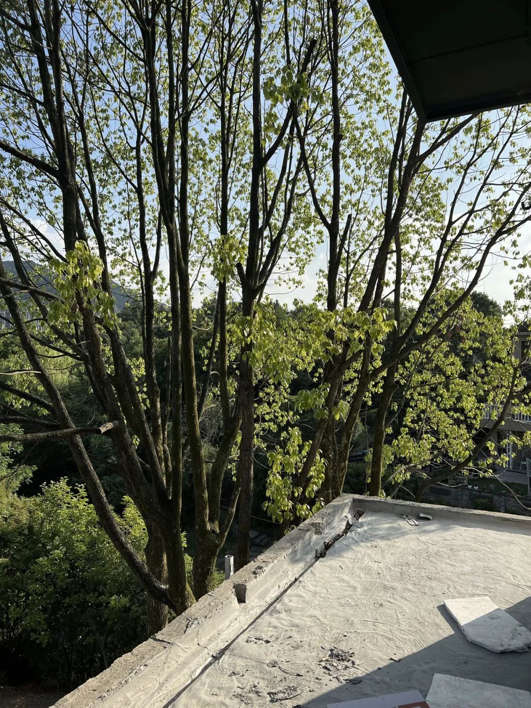 层渐·木韵然丨中国杭州丨胡晓君 GREENJUN-171