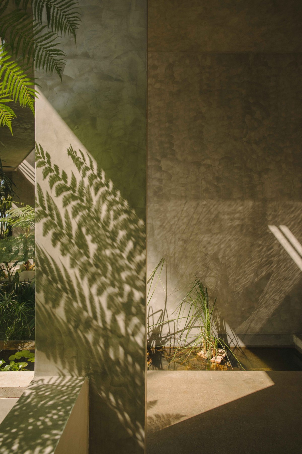 Rosabaya 住宅丨Arkina-17