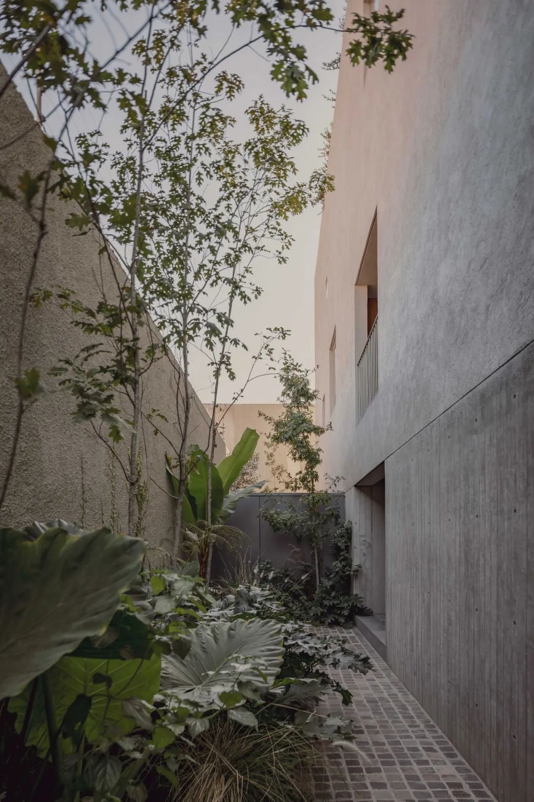 COA Arquitectura 建筑事务所丨墨西哥瓜达拉哈拉-20