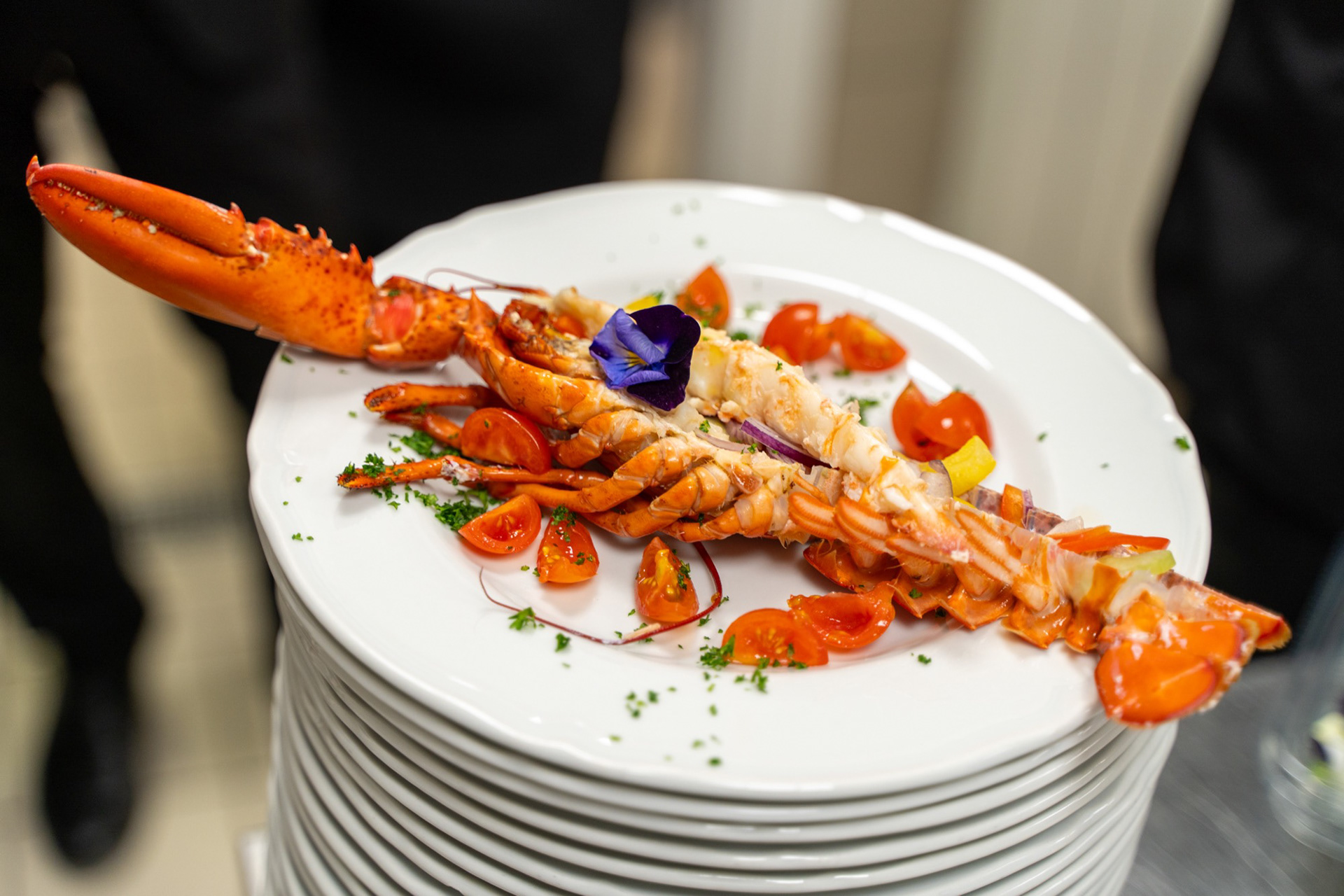 Allestimento Roggie House-32