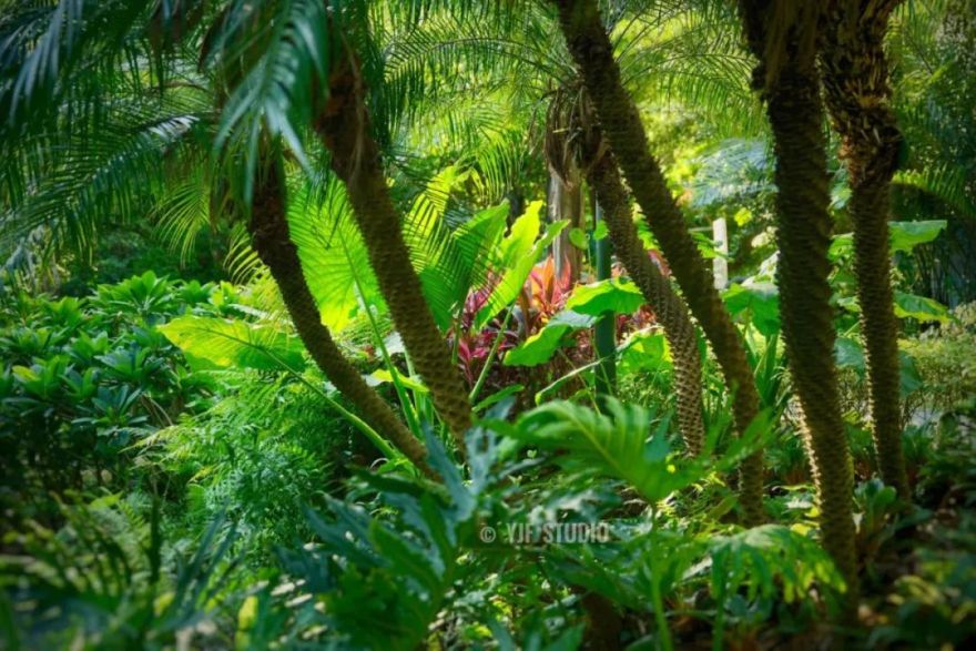 广州云萝植物园丨中国广州丨广州普邦园林股份有限公司-19