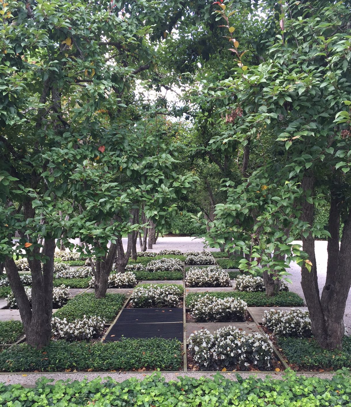 Newfields (Indianapolis Museum of Art) Master Plan-7