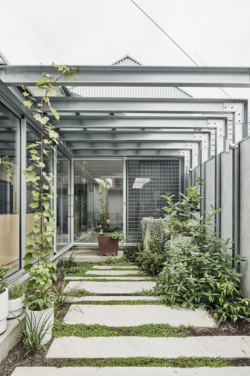 老栗树住宅丨澳大利亚墨尔本丨FIGR Architecture and Design-9