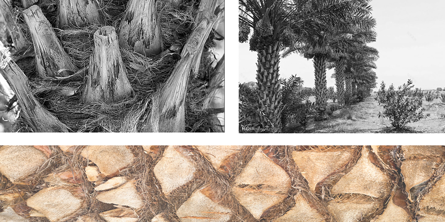 复杂·魅力 · 阿索公司打造马哈什尔港口文化中心丨Asoo Company-18