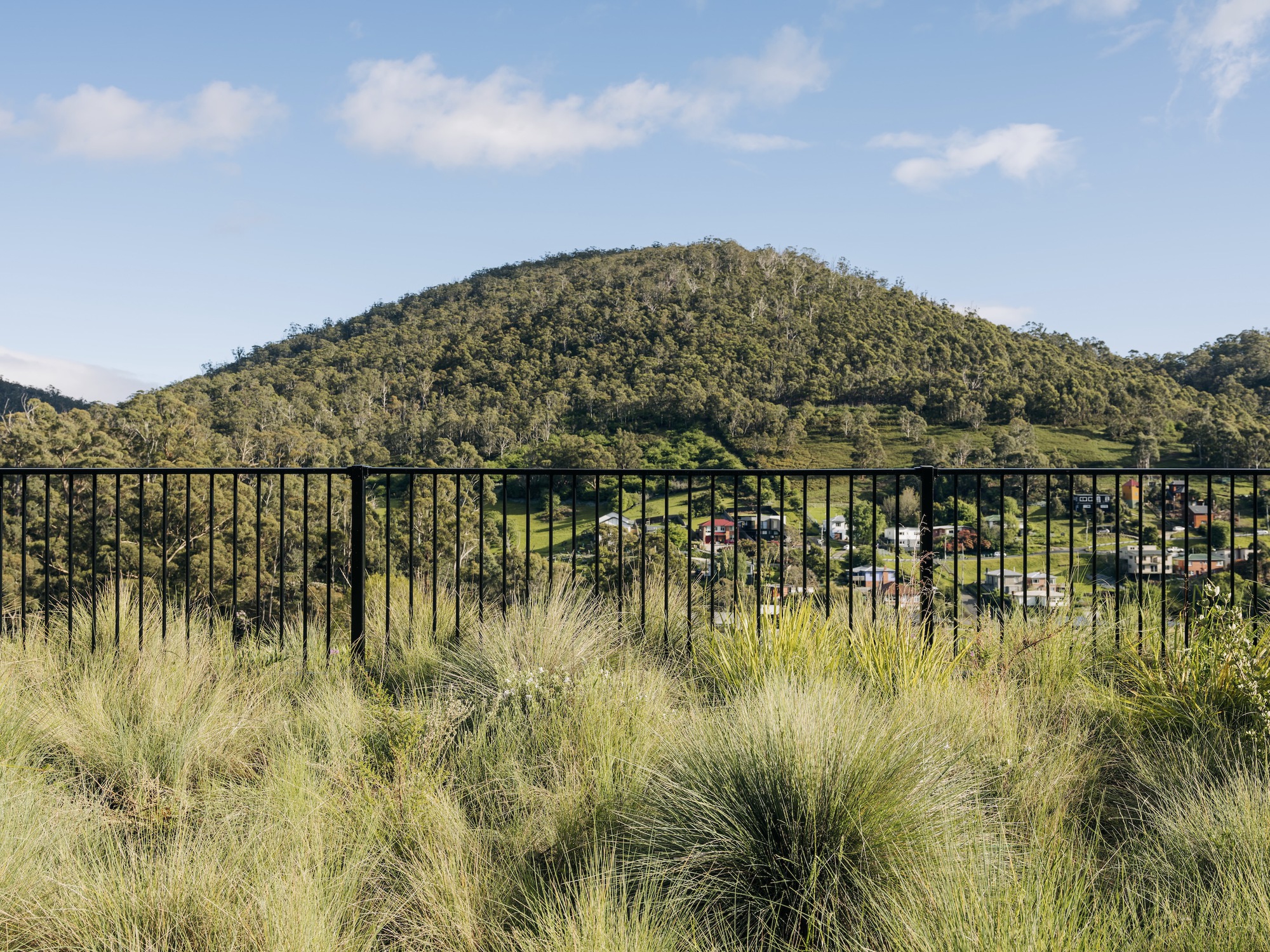 SoHo 小房子丨澳大利亚丨Maguire + Devine Architects-33