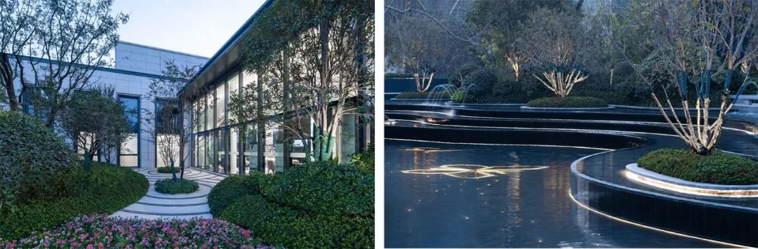 梦寻太湖畔,蝶舞雁栖湖-198