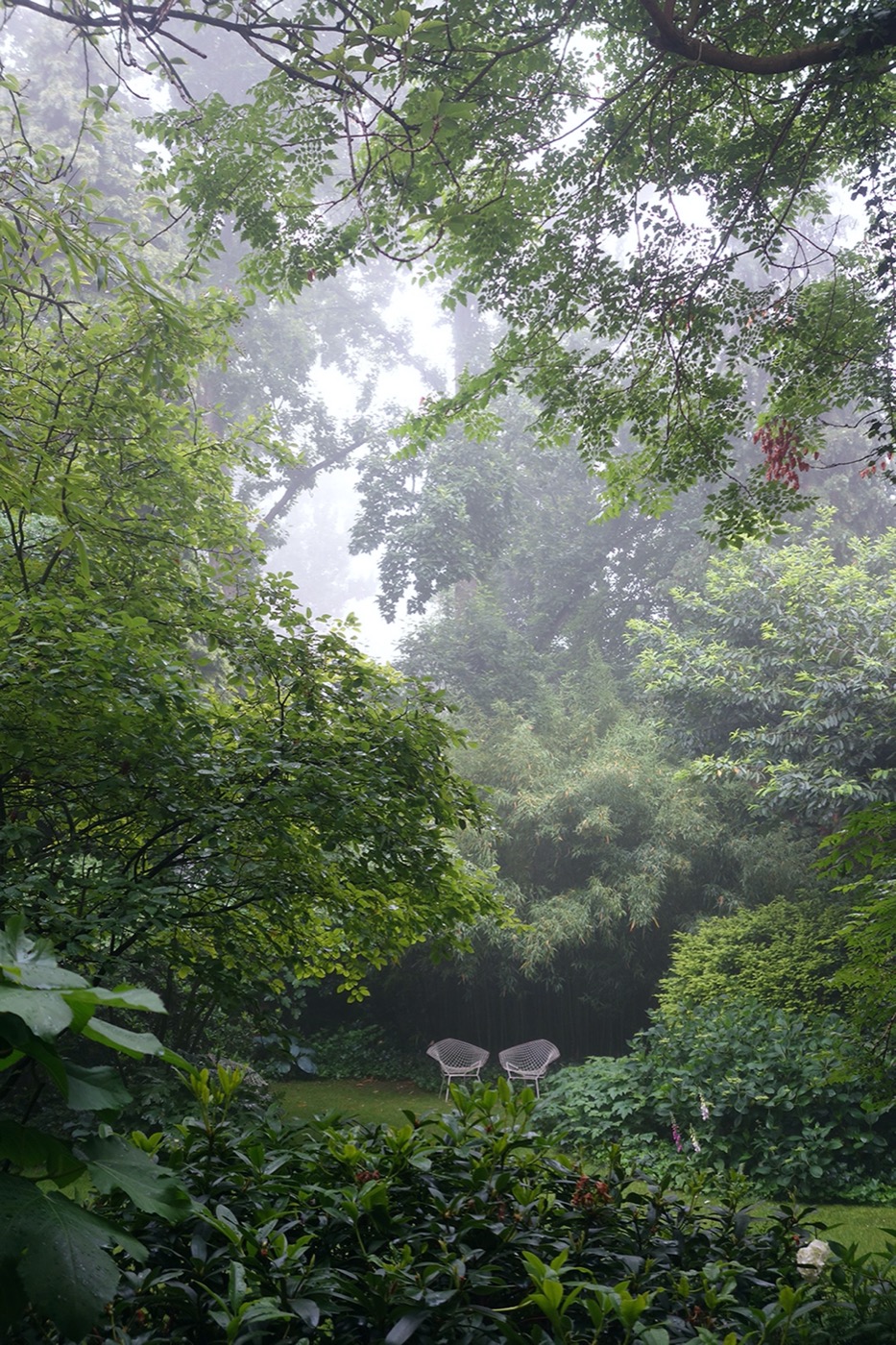 都市绿洲 | 德国杜塞尔多夫城市花园-6