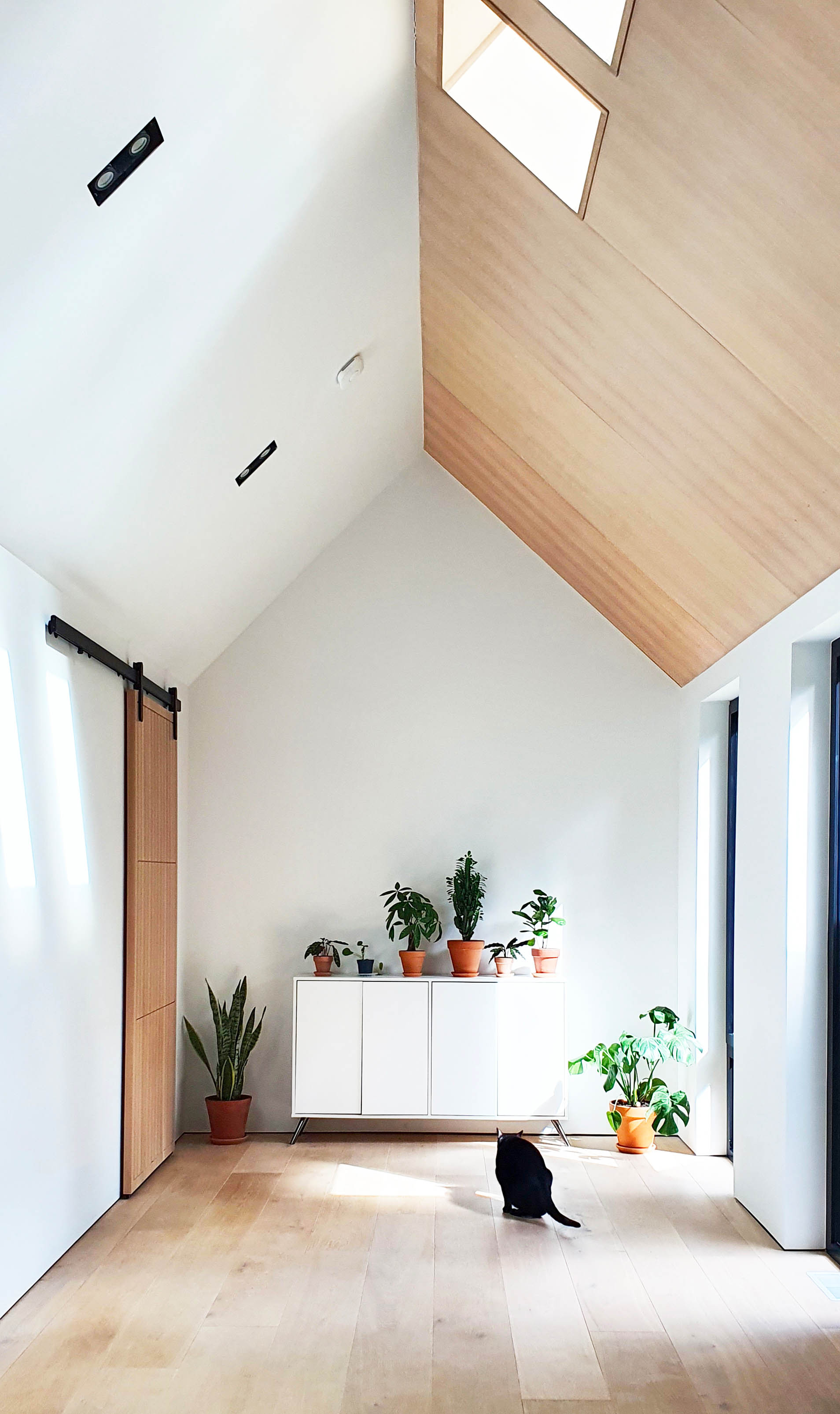 CorkHaven | 用现代手法重塑 1937 年的老房子-2