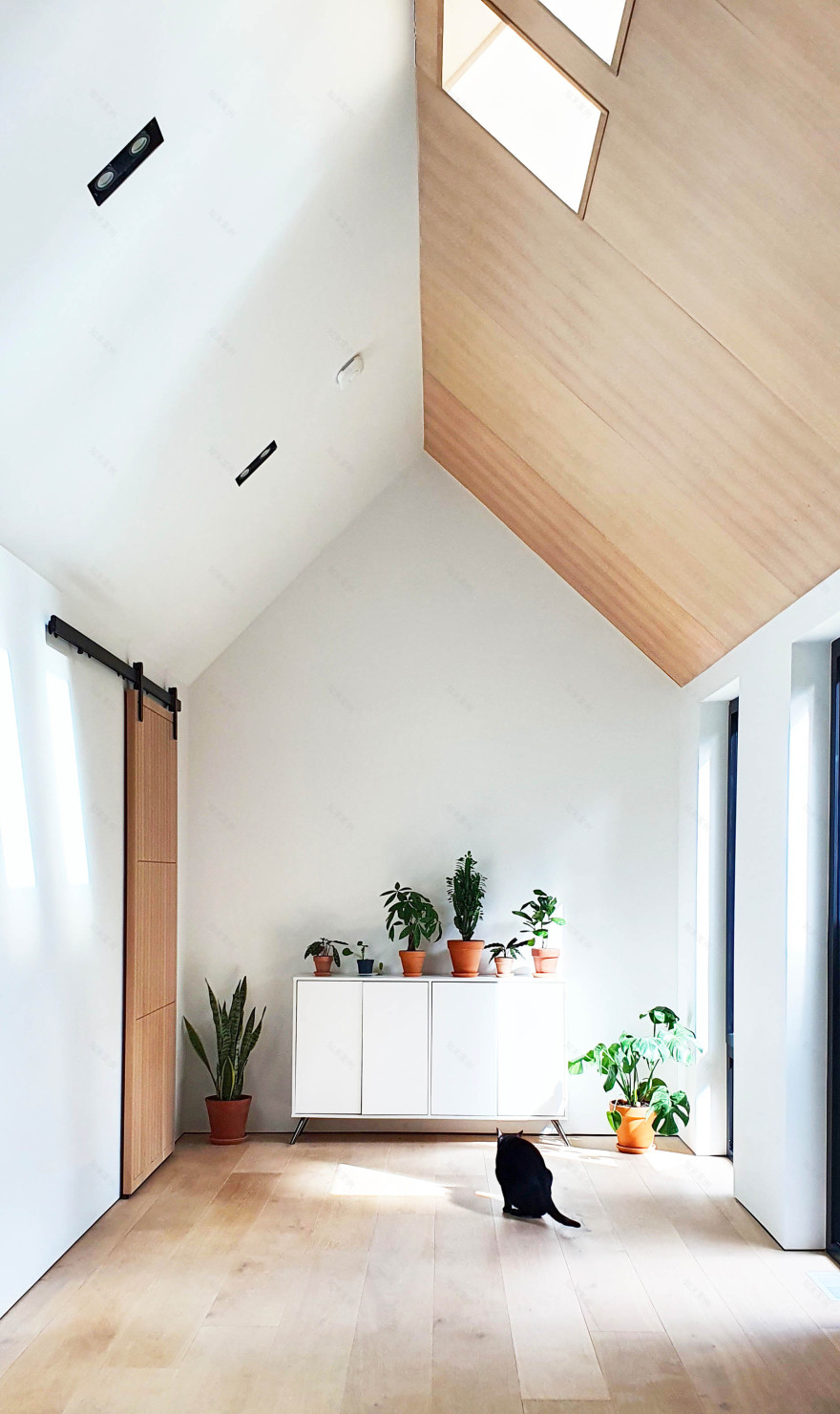 CorkHaven | 用现代手法重塑 1937 年的老房子-2